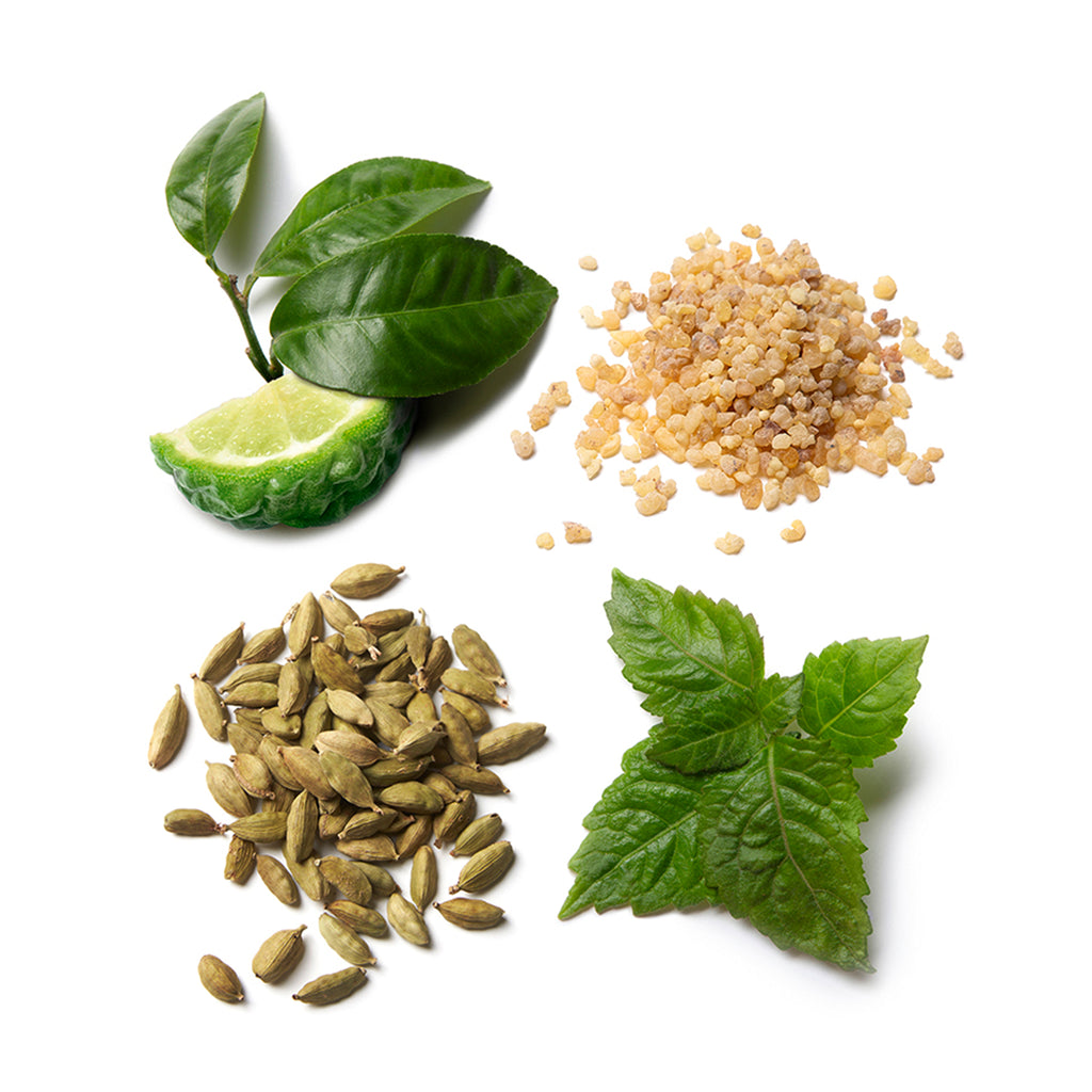 Brioni Essentiel Eau de Parfum 100ml