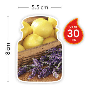 Yankee Candle Classic Small Jar Lemon Lavender Scented Candles