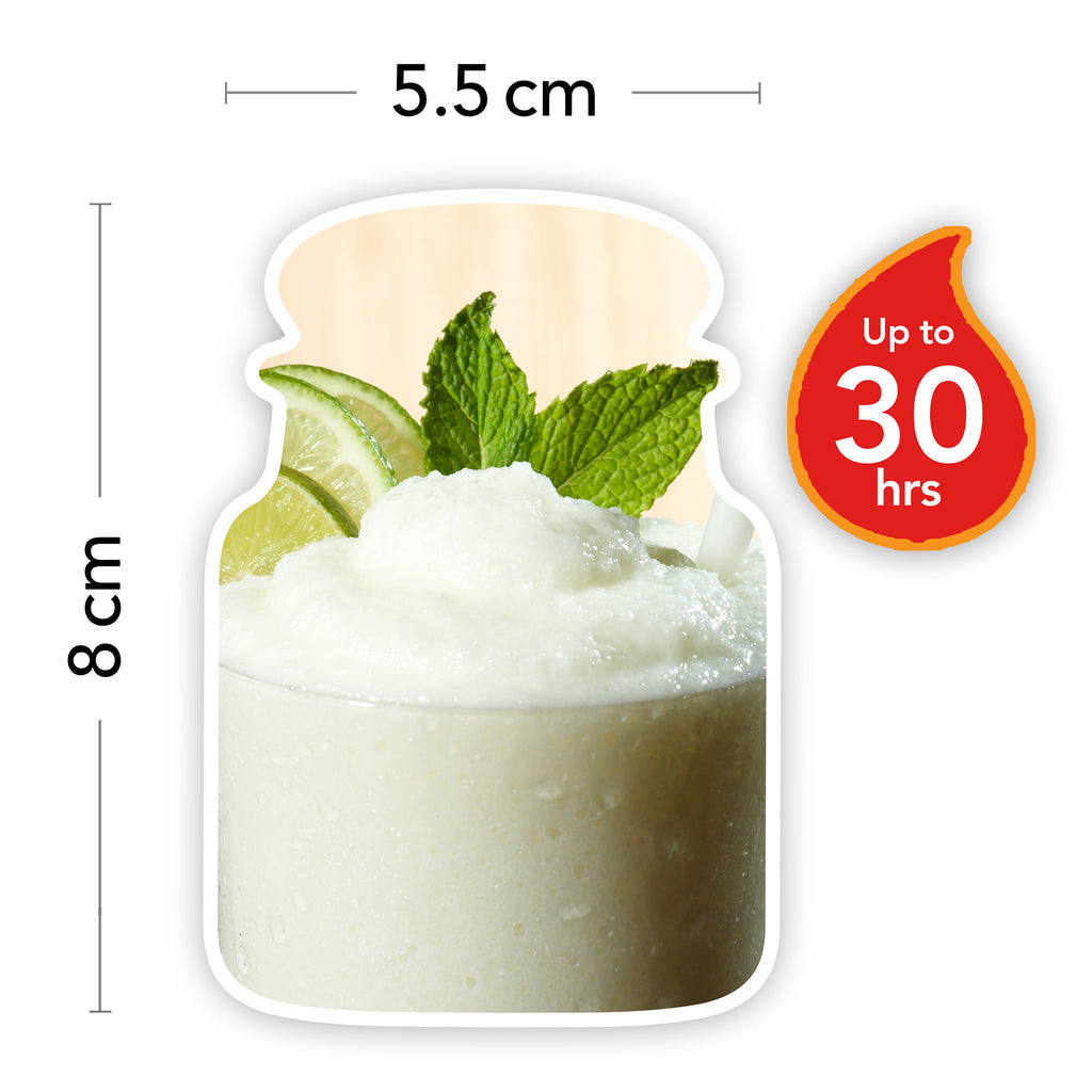 Yankee Candle Classic Small Jar Vanilla Lime Scented Candles