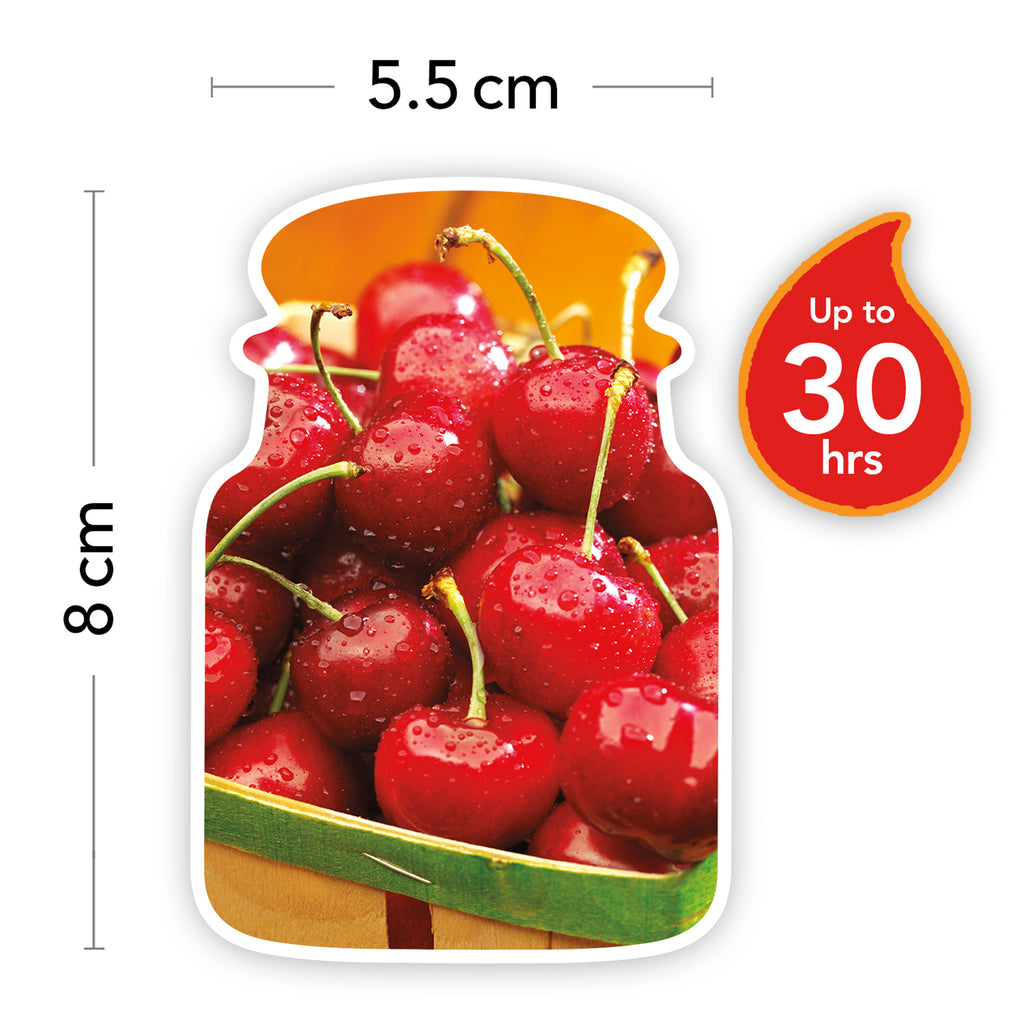 Yankee Candle Classic Small Jar Black Cherry Scented Candles