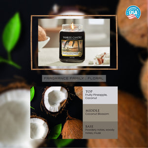 Yankee Candle Original Medium Jar Black Coconut