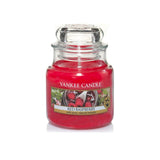 Yankee Candle Classic Small Jar Red Raspberry Scented Candles