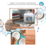 Yankee Candle Classic Small Jar Coconut Splash Scented Candles