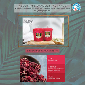 Yankee Candle Original Tropical Jungle Votive Scented Candle