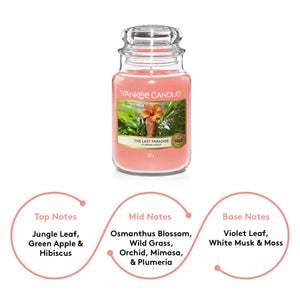 Yankee Candle Original The Last Paradise Large Jar Scented Candle