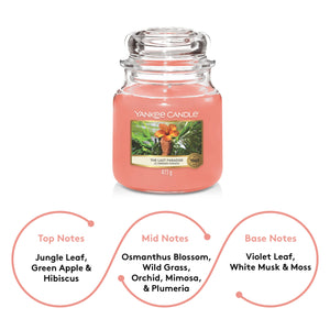 Yankee Candle Original The Last Paradise Medium Jar Scented Candle