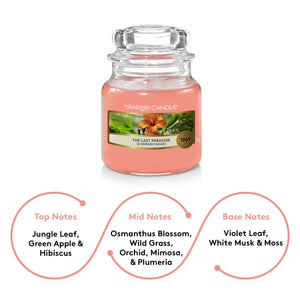 Yankee Candle Original The Last Paradise Small Jar Scented Candle