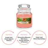 Yankee Candle Original The Last Paradise Small Jar Scented Candle