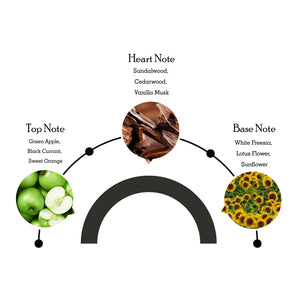 Police Passion Femme Eau de Toilette 100ml + Deodorant Spray 200ml Combo Set