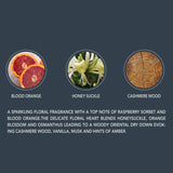 Beverly Hills Polo Club Sparkling Floral No.9 Premium Body Mist - For Women