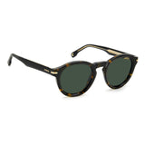Carrera Unisex Green Lens Havana Panthos Sunglasses with 100% UV Protection