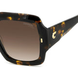 Carrera Womens Brown Shaded Lens Havana Square Sunglasses with 100% UV Protection -20615408654HA