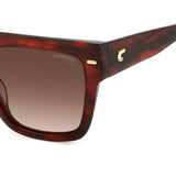 Carrera Women Brown Shaded Lens Brown Horn Square Sunglasses with 100% UV Protection
