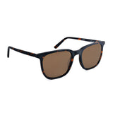 Pierre Cardin Mens Brown Lens Matte Havana Panthos Sunglasses - 206566N9P5370