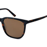 Pierre Cardin Mens Brown Lens Matte Havana Panthos Sunglasses - 206566N9P5370