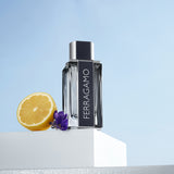 Ferragamo Eau de Toilette 100ml
