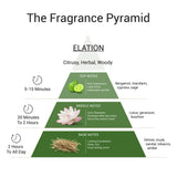 Eze Perfume Elation Eau de Parfum 30ml
