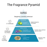 Eze Perfume Surge Eau de Parfum 75ml
