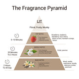Eze Perfume Elevate Lit Eau de Parfum 75ml