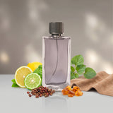 Abercrombie & Fitch First Instinct Man Eau de Toilette 100ml