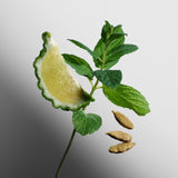 David Beckham Instinct Eau de Parfum 75ml