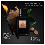 David Beckham Bold Instinct Eau de Parfum 75ml