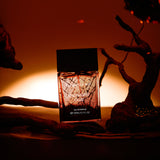 Giordano Midnight Oud Eau de Parfum 100ml