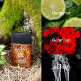 Giordano Wild Safari Eau de Parfum 100ml