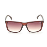 Irus Brown Gradient Lens Square Sunglass Full Rim Matt Transparent Dark Brown Frame With 100% Uv Protection - Irs1167C3Sg