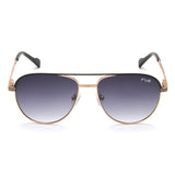 Irus Smoke Gradient Lens Pilot Sunglass Full Rim Shiny Light Gold-Matt Black Frame With 100% Uv Protection - Irs1185C1Sg