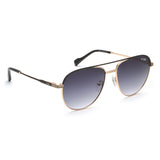 Irus Smoke Gradient Lens Pilot Sunglass Full Rim Shiny Light Gold-Matt Black Frame With 100% Uv Protection - Irs1185C1Sg