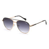 Irus Smoke Gradient Lens Pilot Sunglass Full Rim Shiny Light Gold-Matt Black Frame With 100% Uv Protection - Irs1185C1Sg