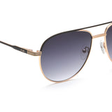 Irus Smoke Gradient Lens Pilot Sunglass Full Rim Shiny Light Gold-Matt Black Frame With 100% Uv Protection - Irs1185C1Sg