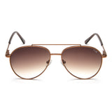 Irus Brown Gradient Lens Pilot Sunglass Full Rim Shiny Brown Frame With 100% Uv Protection - Irs1202C3Sg