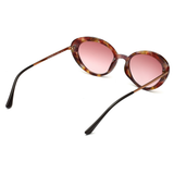 Scott Brown Gradient Lens Cat Eye Sunglass Full Rim Demi Brown Frame With 100% Uv Protected - Scott 2403 C3 Vanessa S