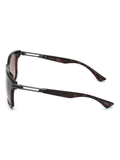 SCOTT Mens Gradient Brown Lens Demi Brown Square Sunglasses with 100% UV Protection-Scott 3000 Koda C2 S