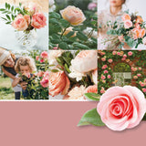 Yankee Candle Original Small Jar Fresh Cut Roses