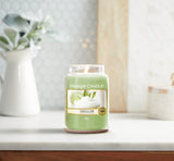 Yankee Original Large Jar Scented Candle - Vanilla Lime