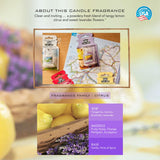 Yankee Candle Ultimate Car Jar Air Freshener - Lemon Lavender