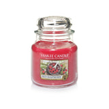 Yankee Candle Classic Medium Jar Red Raspberry Scented Candles