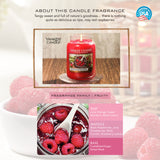 Yankee Candle Classic Small Jar Red Raspberry Scented Candles