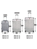 SWISSBRAND C GENEVE Range Silver Color Hard Cabin Luggage