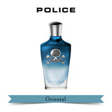 Police Potion Power Eau de Parfum 100ml For Him