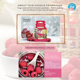 Yankee Candle Ultimate Car Jar Air Freshener - Red Raspberry