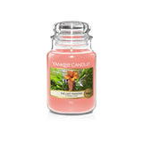 Yankee Candle Original The Last Paradise Large Jar Scented Candle