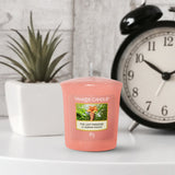 Yankee Candle Original The Last Paradise Votive Scented Candle