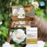 Yankee Original Small Jar Camellia Blossom