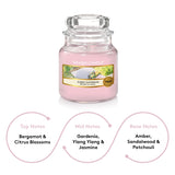 Yankee Candle Original Sunny Daydream Small Jar Scented Candle