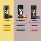 Playboy King of The Game + Play It Wild Men + Endless Night Man Shower Gel Combo For Men (Pack of 3, 250 ml each)