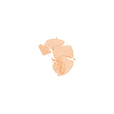 Deborah Milano NEWSKIN COMPACT FOUNDATION